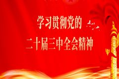 新華社播發系列解讀 深入闡釋黨的二十屆三中全會決定