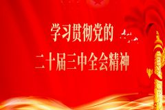 新征程上的一份綱領性文件——黨的二十屆三中全會側記